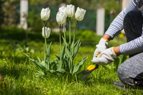 Team surveying a residential garden before maintenance