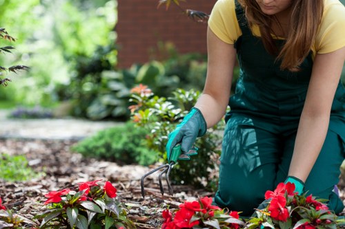 Gardener performing hedge cutting with protective gear